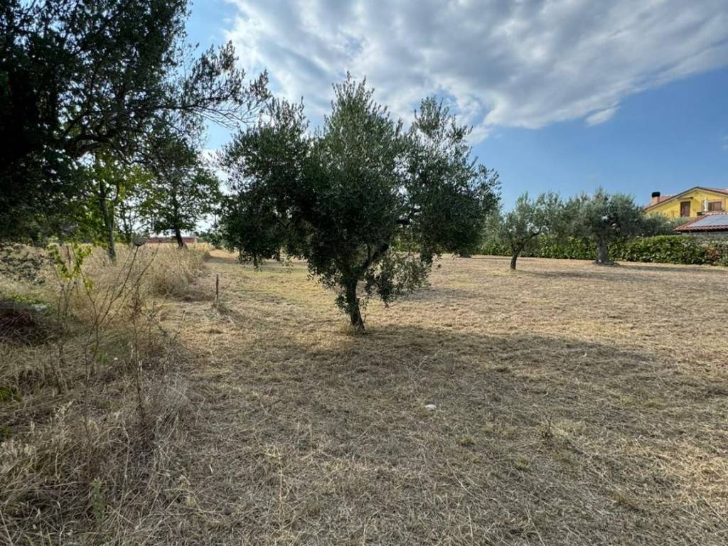 Terreno a Treglio in contrada san giorgio - Foto 2