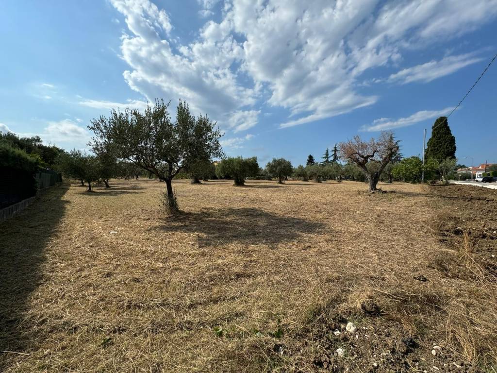 Terreno a Treglio in contrada san giorgio - Foto 3