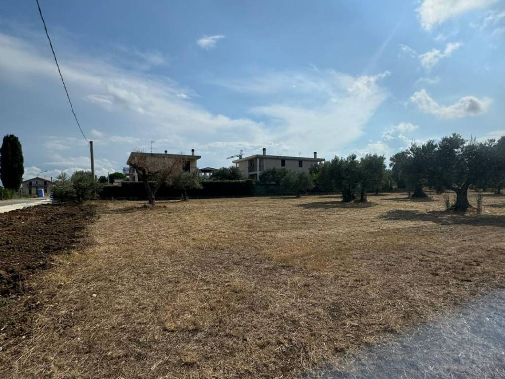 Terreno a Treglio in contrada san giorgio - Foto 4