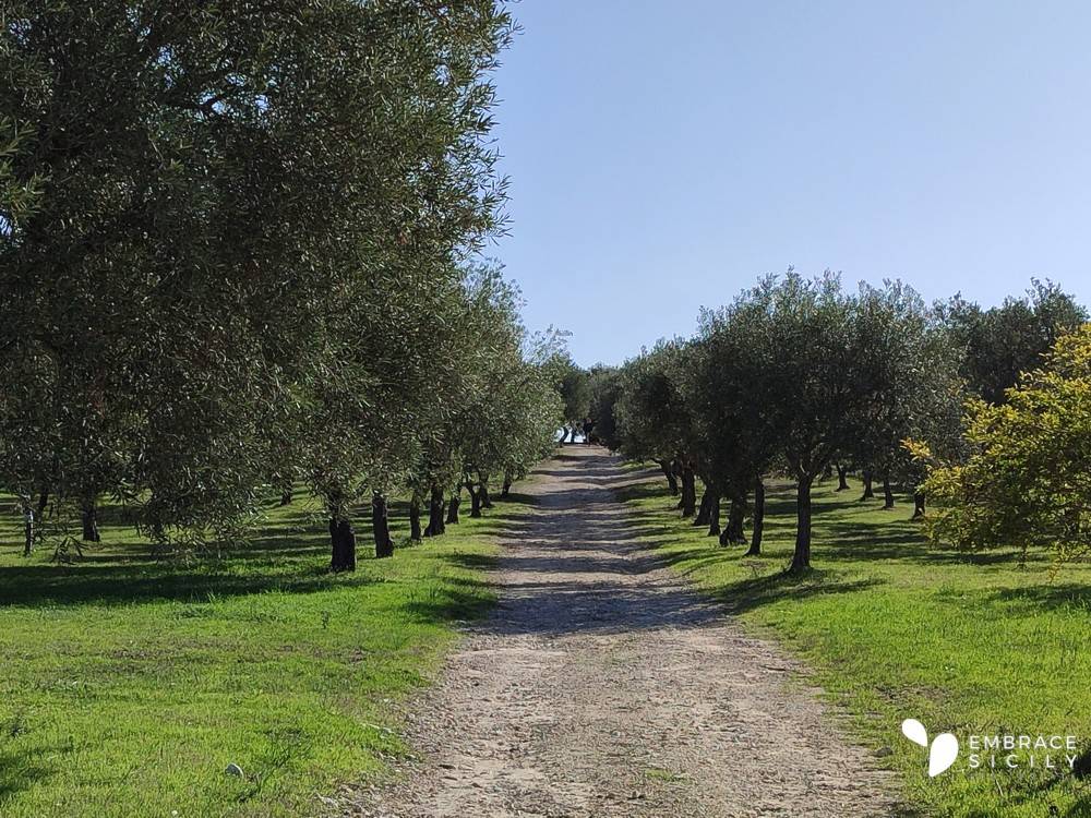 Villa a Noto in SP19 - Foto 4