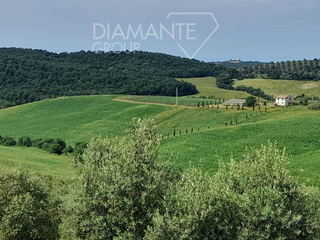 Terreno a Scansano in Scansano - Foto 2