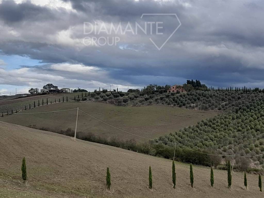 Terreno a Scansano in Scansano - Foto 4