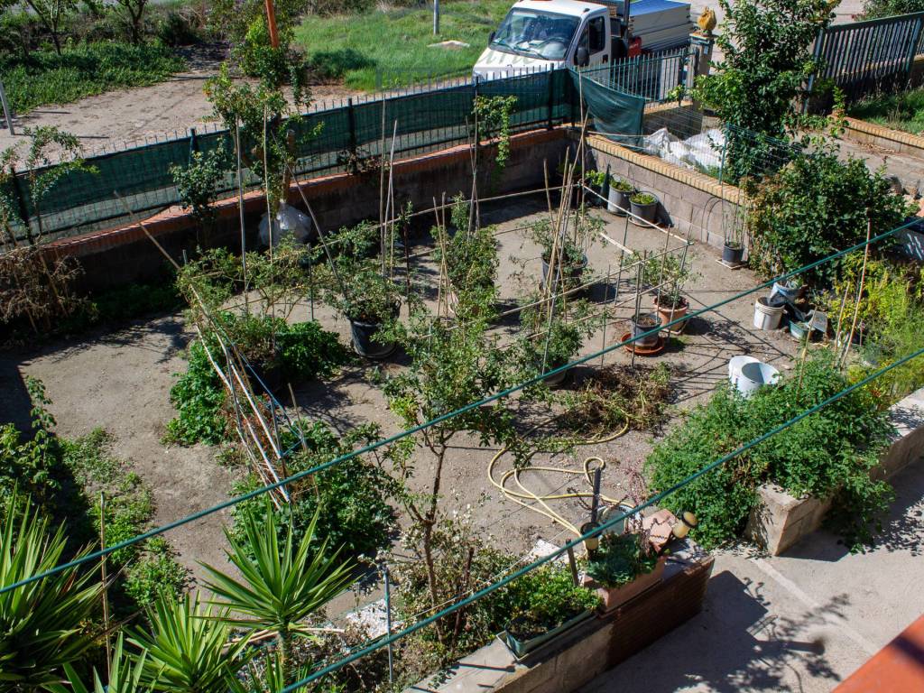 Appartamento a Capalbio in Strada delle Basse - Foto 4