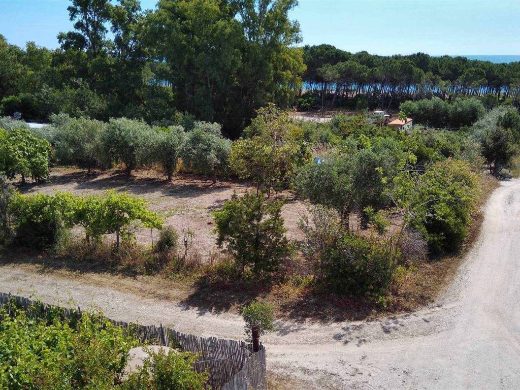 Terreno a Bari sardo - Foto 2