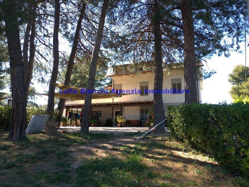 Appartamento a Fano in Località Roncosambaccio - Foto 3