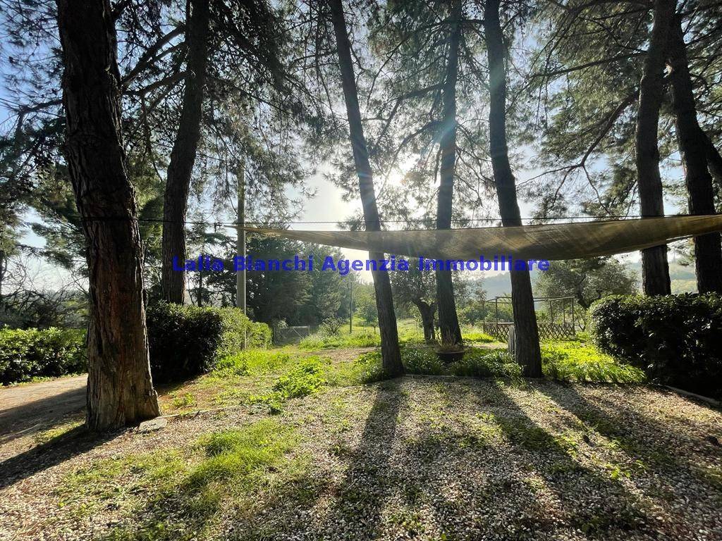 Appartamento a Fano in Località Roncosambaccio - Foto 4