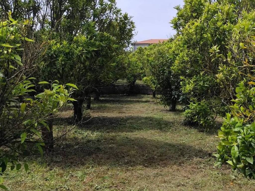 Villa a Sperlonga in Via Flacca - Foto 2