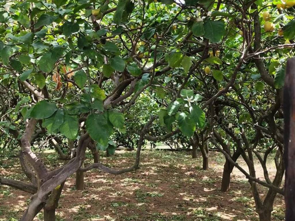 Villa a Sperlonga in Via Flacca - Foto 3