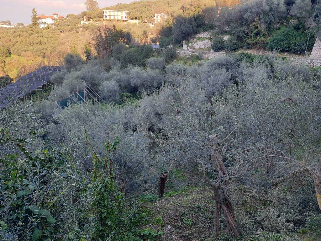 Terreno a Massa lubrense - Foto 2
