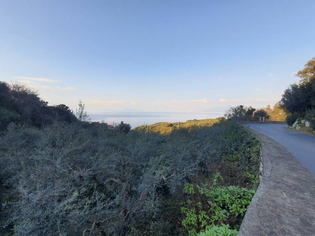 Terreno a Massa lubrense - Foto 3