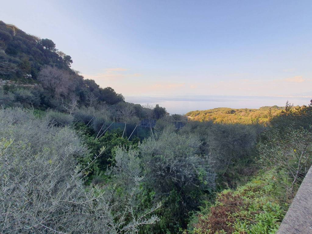 Terreno a Massa lubrense - Foto 4