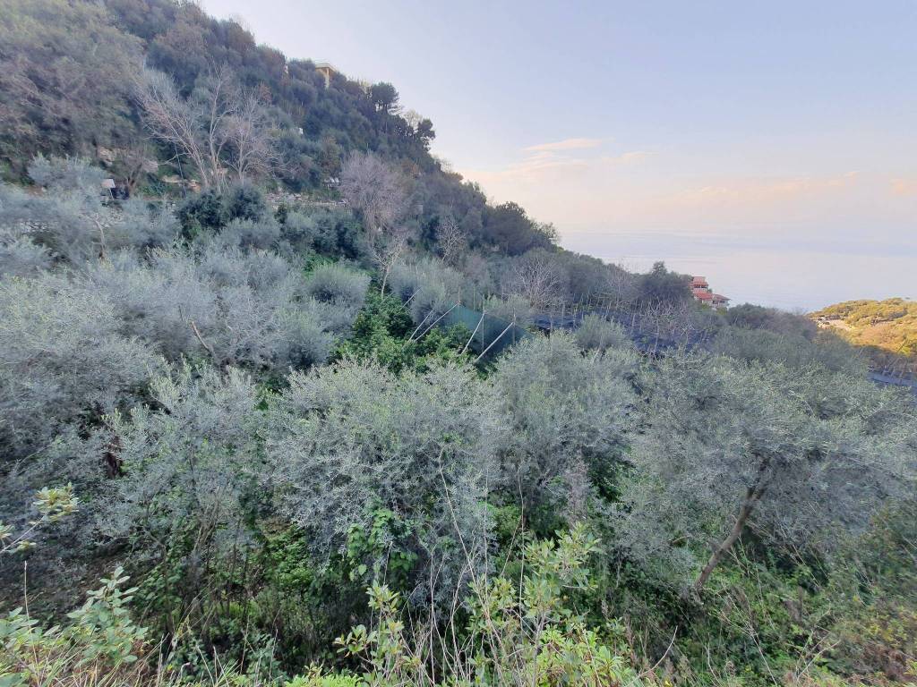Terreno a Massa lubrense - Foto 5