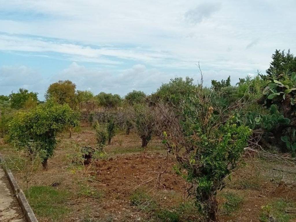 Terreno a Carini in Via Chiovaro - Foto 2