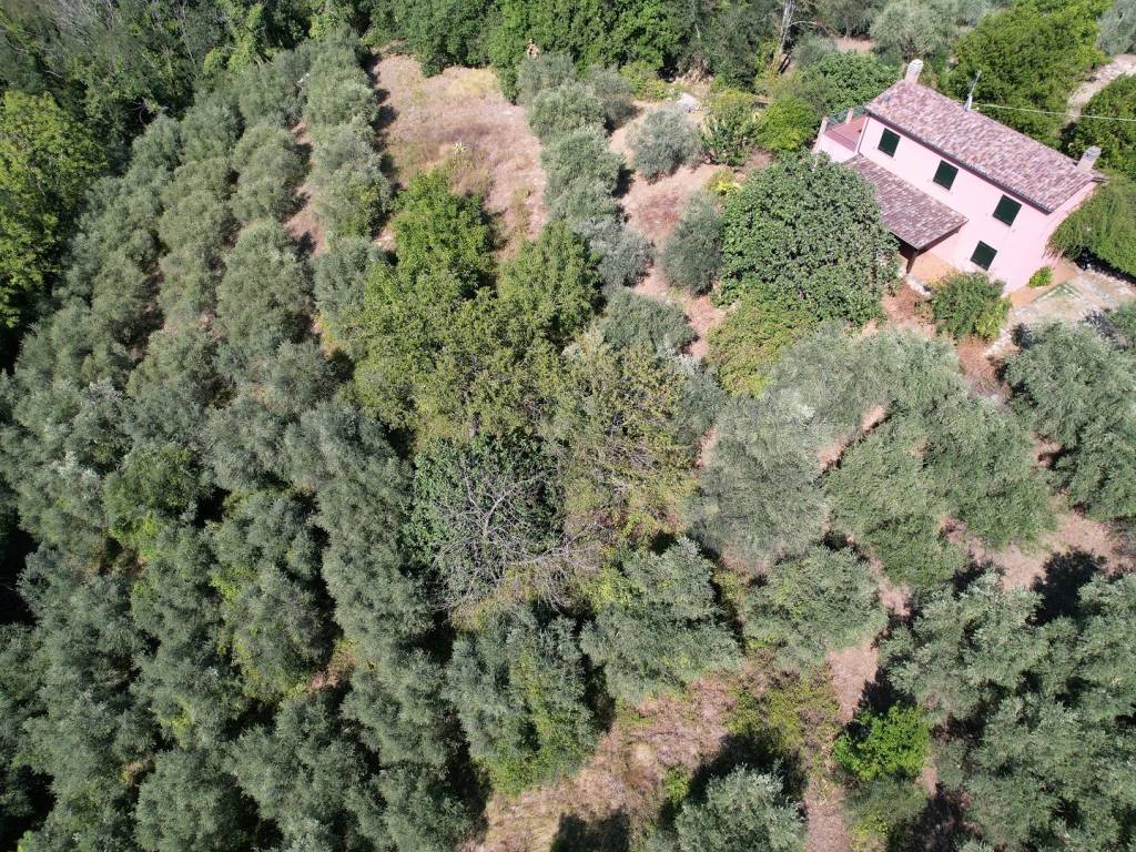Villa a Gradara in Via Fonti di Granarola, 1 - Foto 2