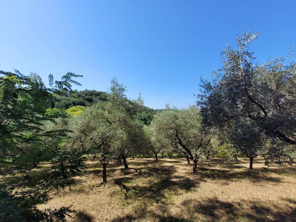 Villa a Gradara in Via Fonti di Granarola, 1 - Foto 4