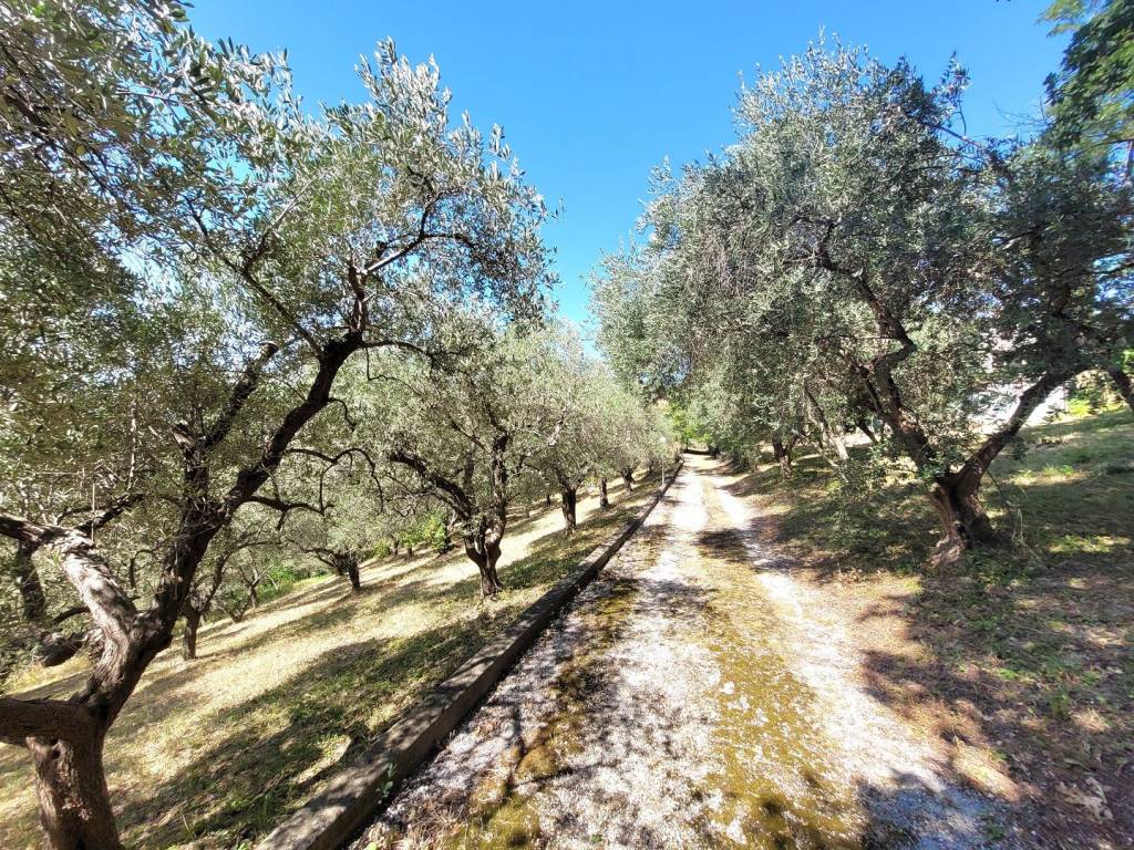 Villa a Gradara in Via Fonti di Granarola, 1 - Foto 5