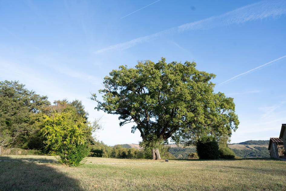 Rustico / casale a Scansano in Strada Provinciale Amiatina - Foto 4