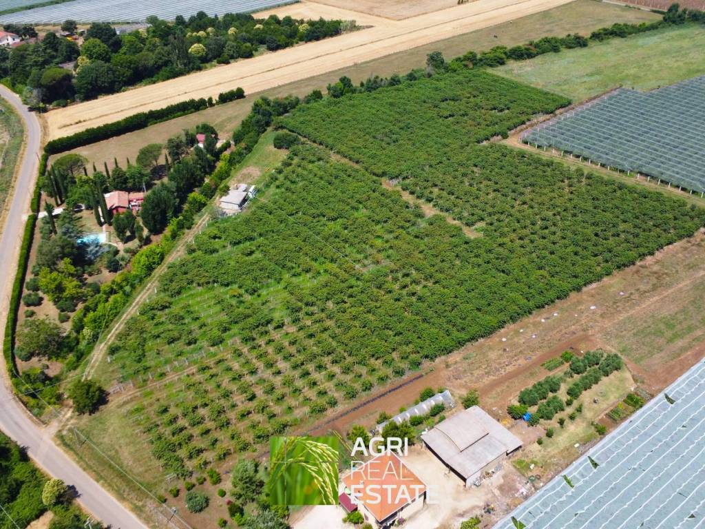 Terreno a Cisterna di latina in Via Ninfina, 75 - Foto 2