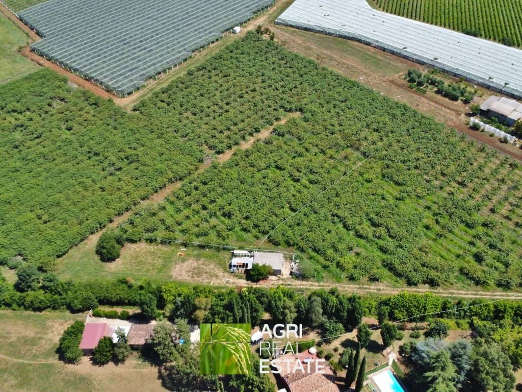Terreno a Cisterna di latina in Via Ninfina, 75 - Foto 3