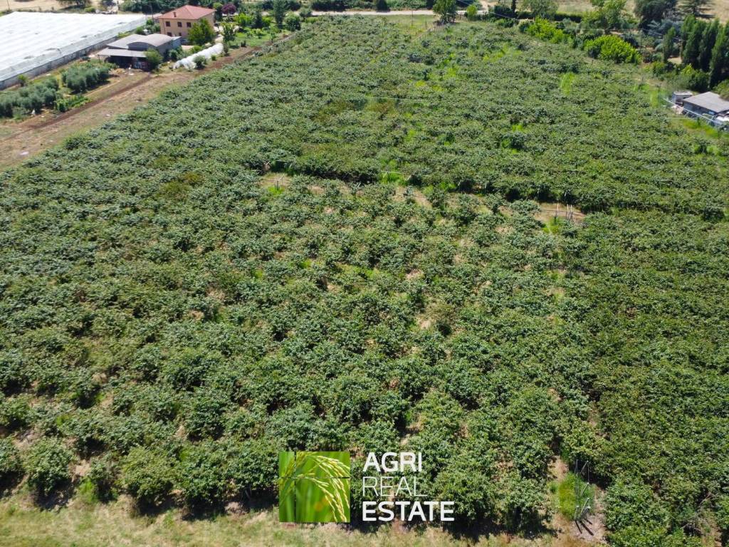 Terreno a Cisterna di latina in Via Ninfina, 75 - Foto 5