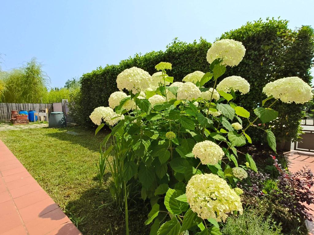 Casa indipendente a Serravalle pistoiese in Via Loreto e Carraiola, 70 - Foto 4