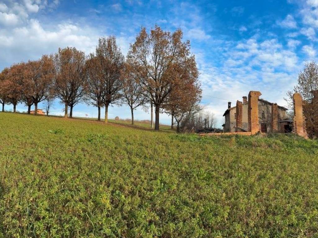 Rustico / casale a Castelvetro di modena in Via Sinistra Guerro - Foto 2