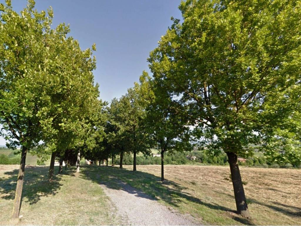 Rustico / casale a Castelvetro di modena in Via Sinistra Guerro - Foto 4