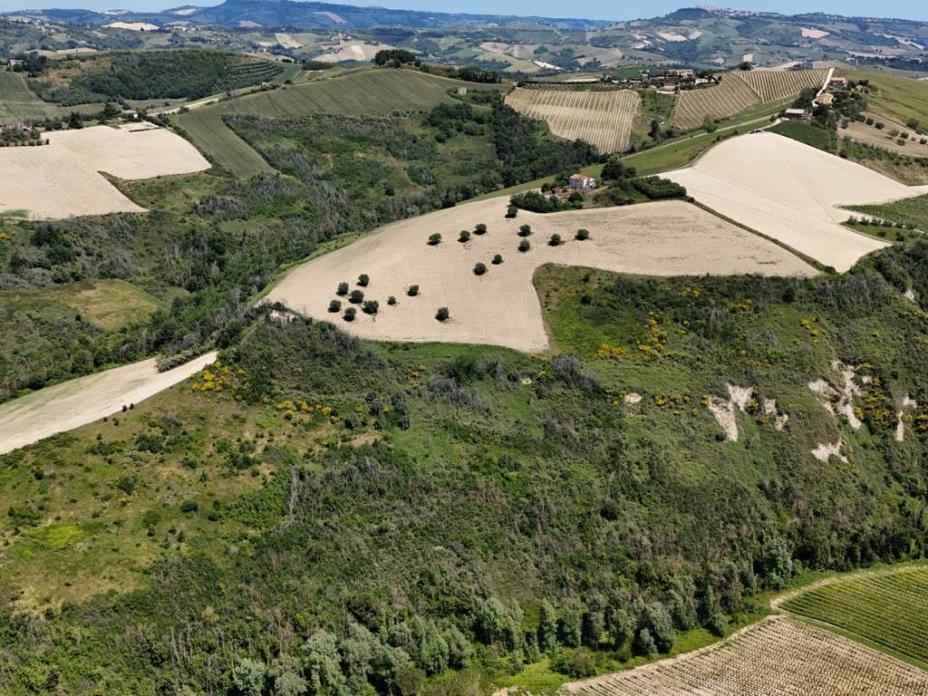 Rustico / casale a Ripatransone in Via Contrada San Gregorio, 6 - Foto 5