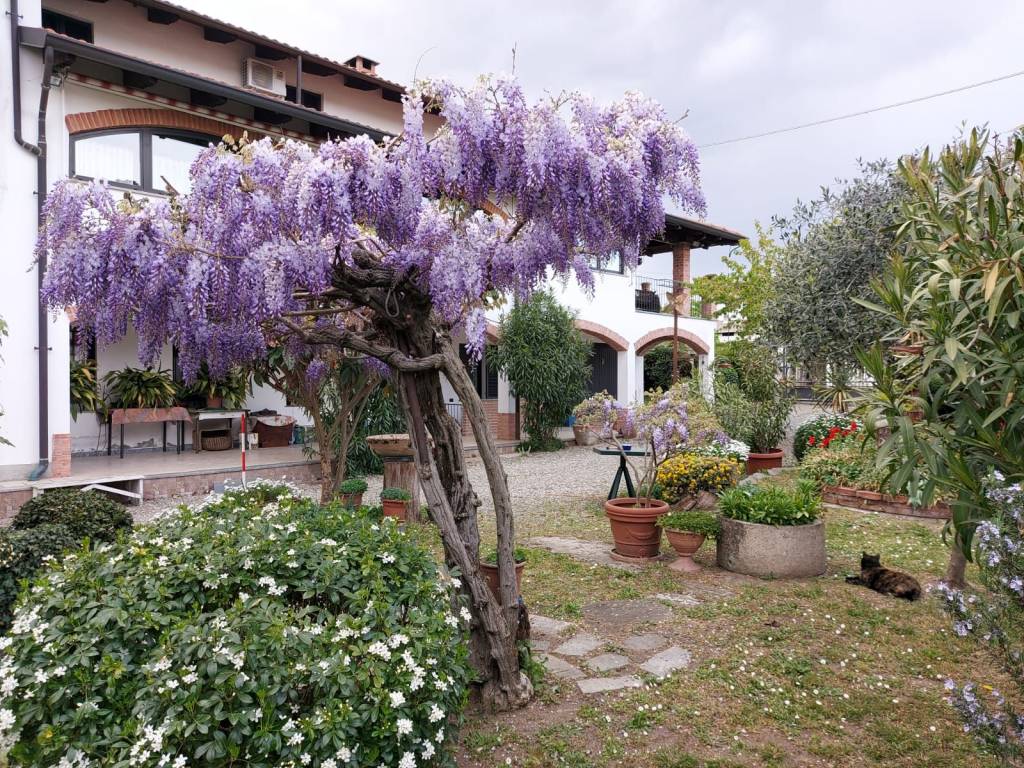 Villa a Cossato in Via Corsico, 18 - Foto 5
