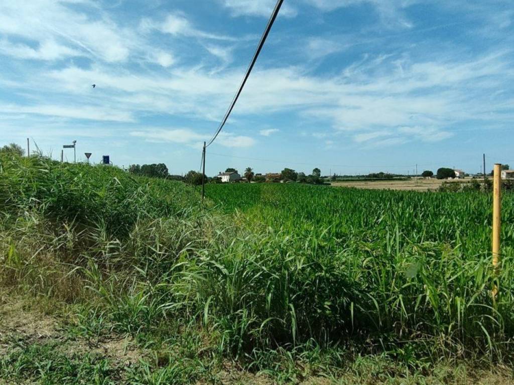 Terreno a Corbola in CORBOLA Via Roma, 0 - Foto 2