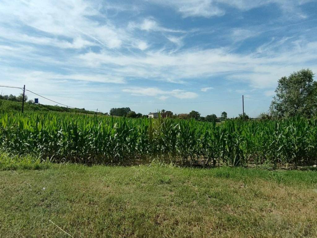 Terreno a Corbola in CORBOLA Via Roma, 0 - Foto 3