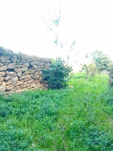 Terreno a Orsogna in Via Vignaiuoli - Foto 2