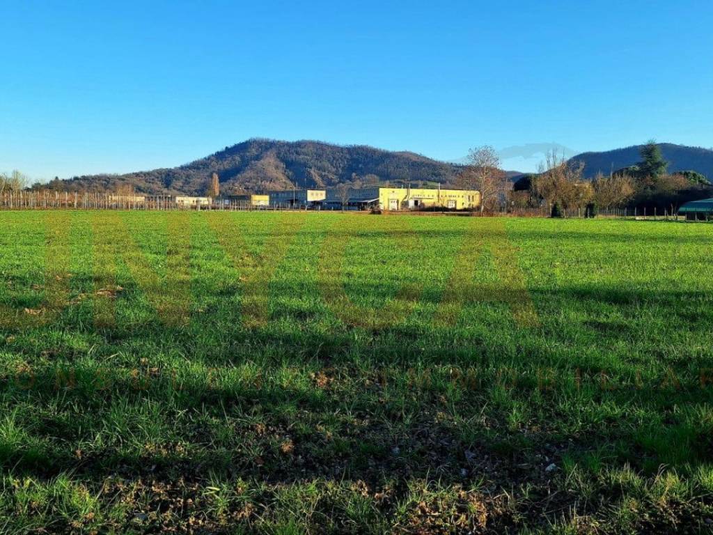 Terreno a Torreglia in Via Monte Venda - Foto 3