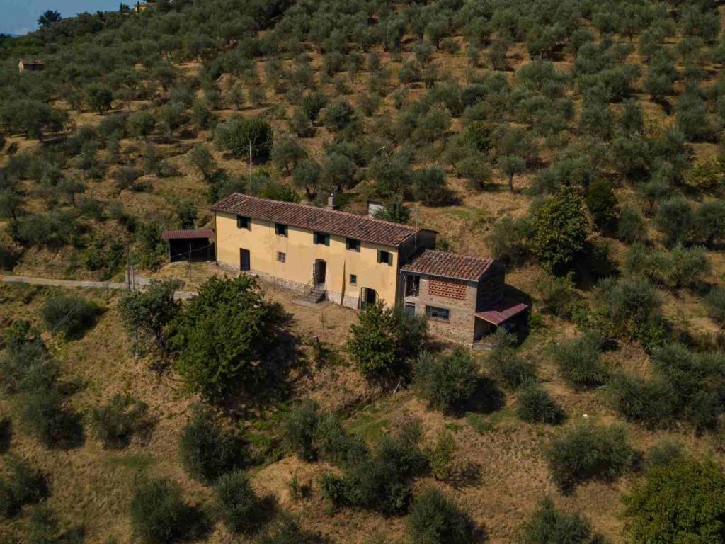 Rustico / casale a Pescia in Via San Pietro alle Fornaci - Foto 2