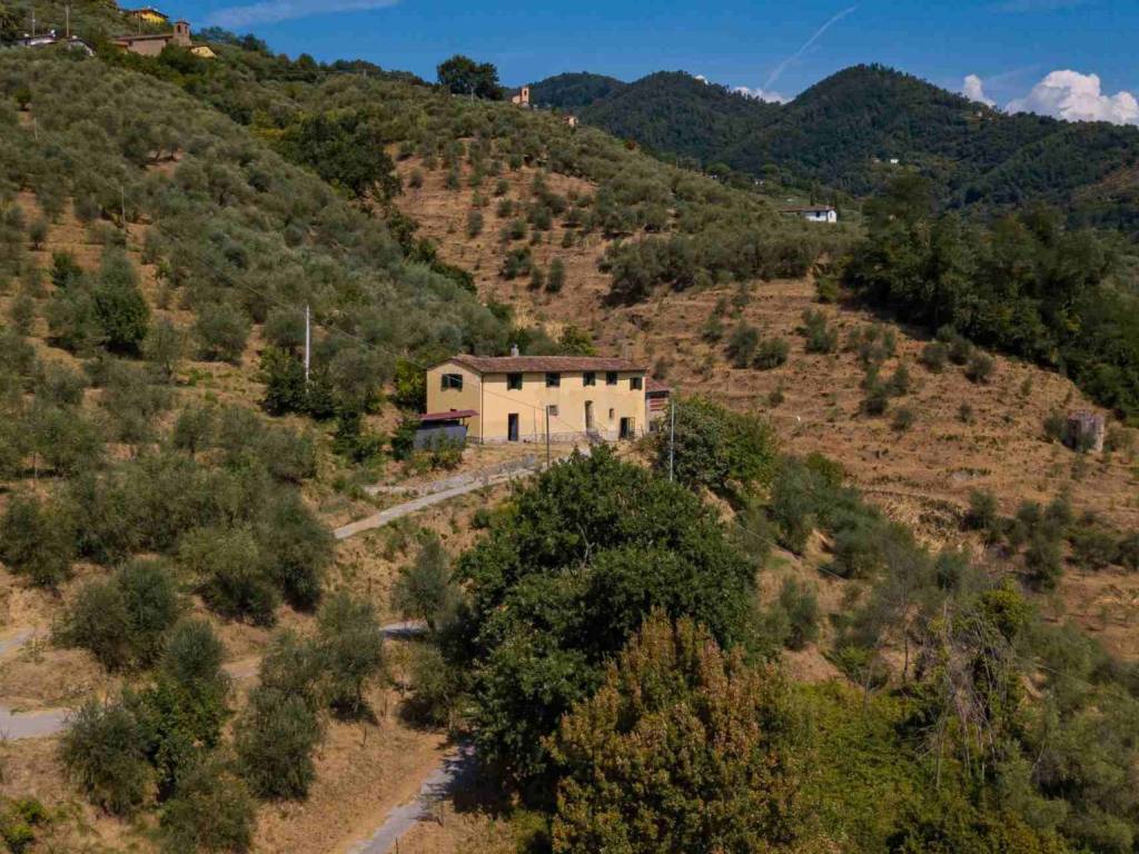 Rustico / casale a Pescia in Via San Pietro alle Fornaci - Foto 4