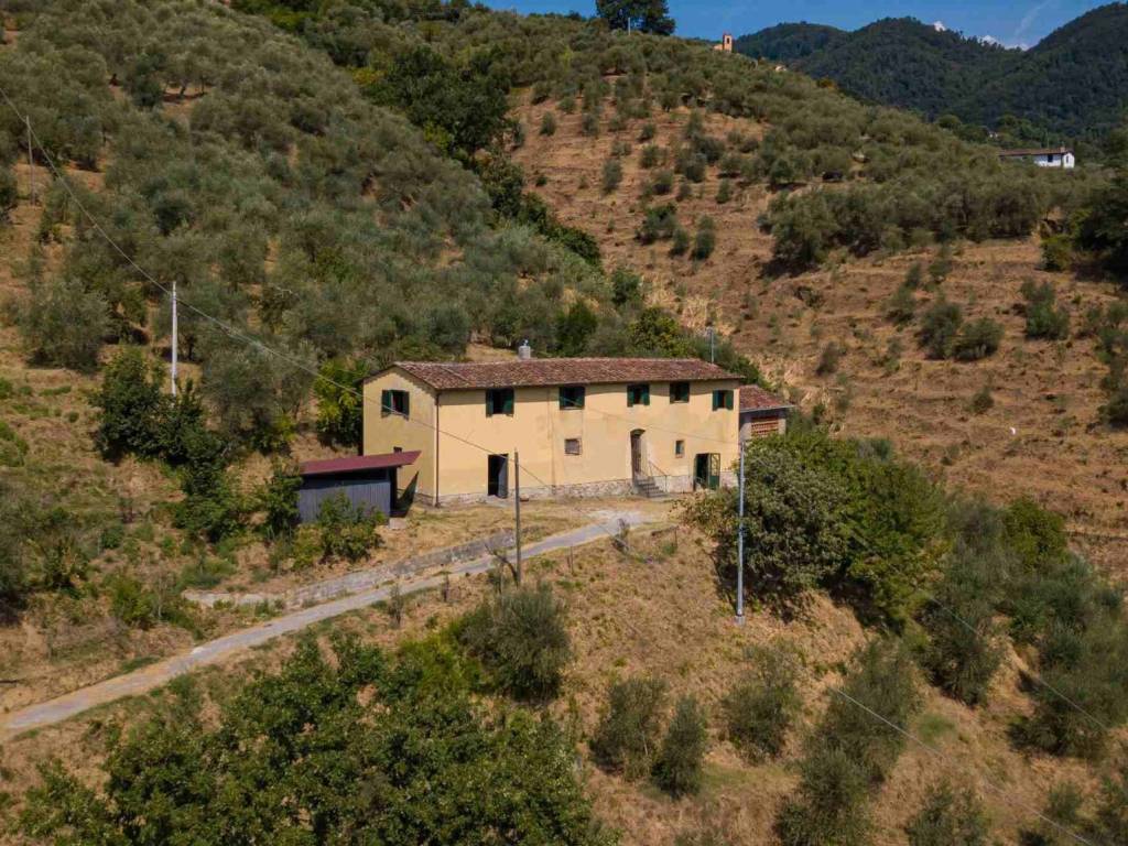 Rustico / casale a Pescia in Via San Pietro alle Fornaci - Foto 5