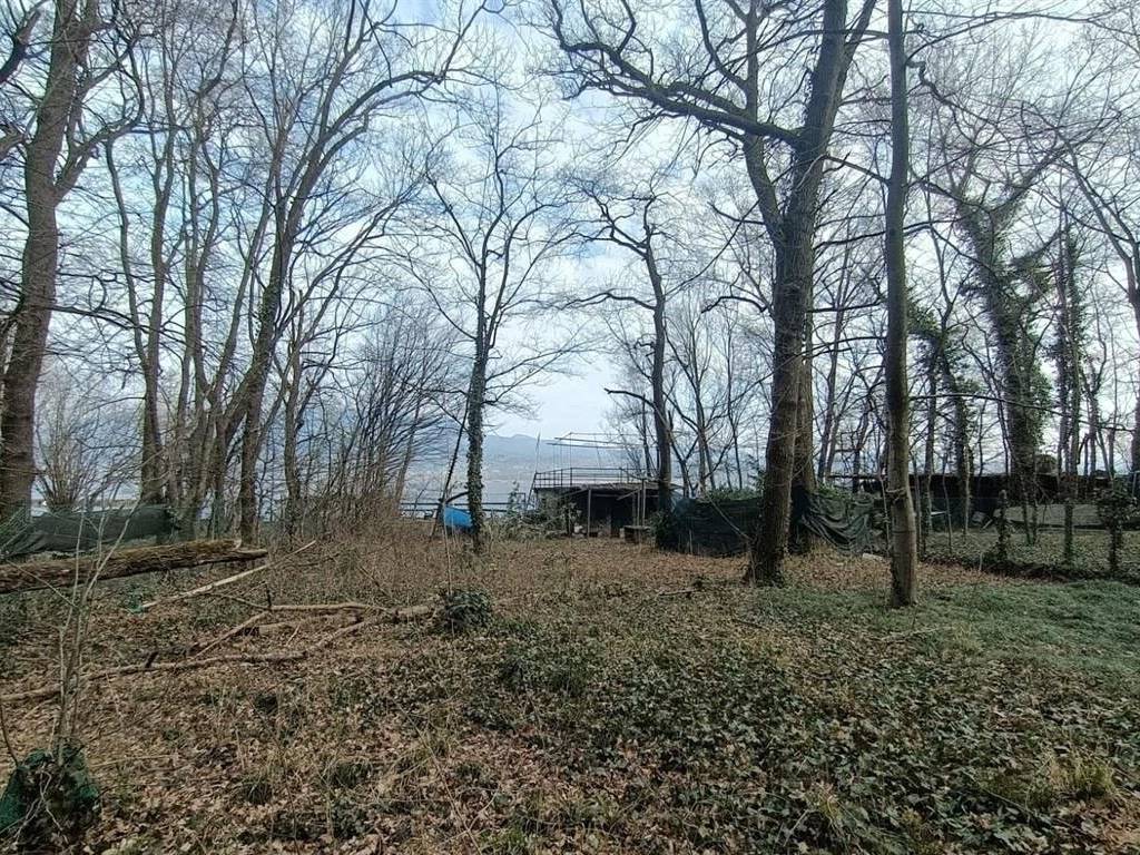 Terreno a Bodio lomnago in Via dei Pescatori - Foto 2