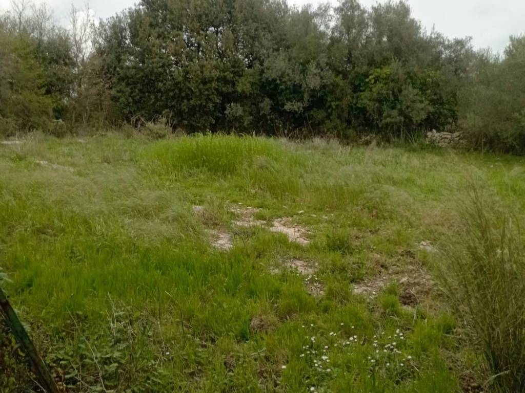 Terreno a Noto in Borgo santa lucia - Foto 5