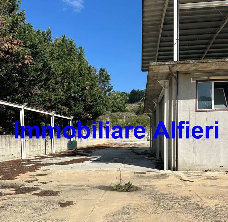 Immobile a Apice in Contrada Falcetti - Foto 5