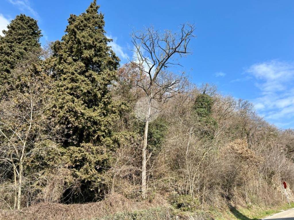 Terreno a Caprino veronese in Via E. Bernardi, 6 - Foto 5