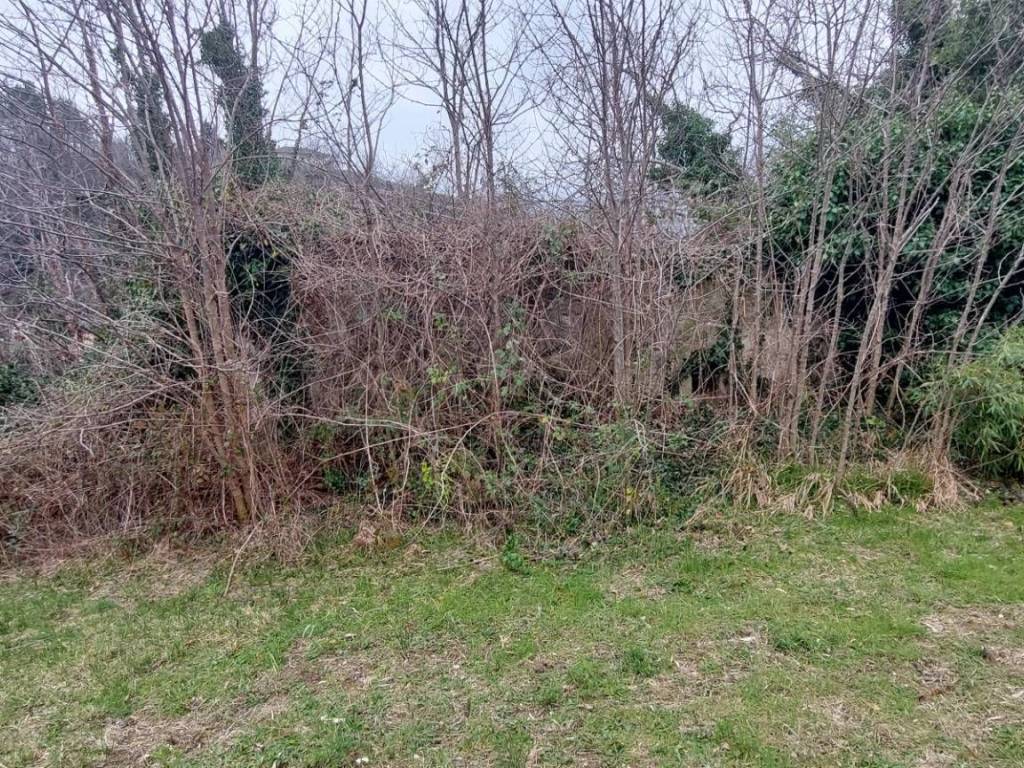 Rustico / casale a Folignano in piane di morro - Foto 3