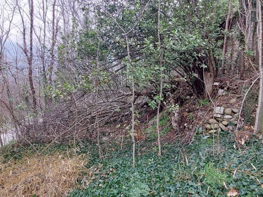 Rustico / casale a Folignano in piane di morro - Foto 4