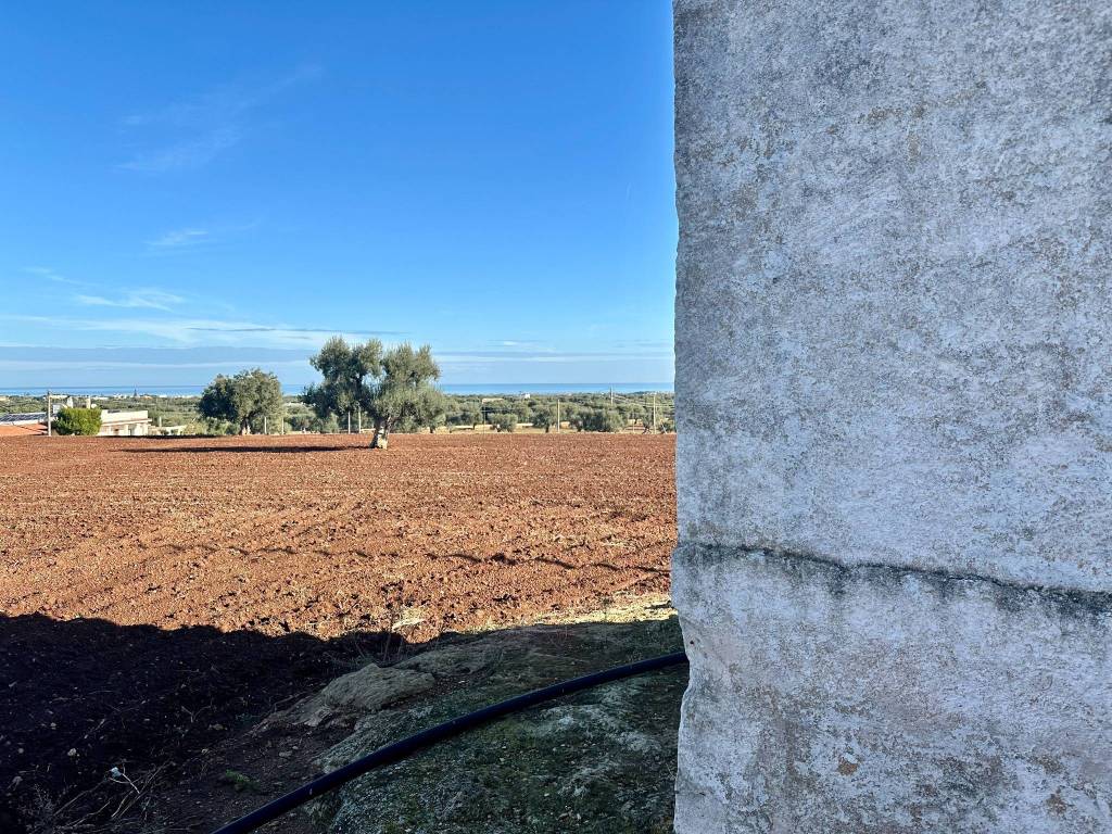 Terreno a Fasano in Contrada Fascianello - Foto 2