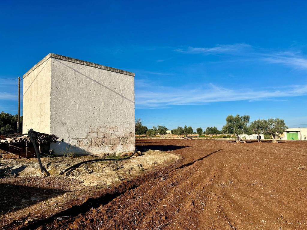Terreno a Fasano in Contrada Fascianello - Foto 3