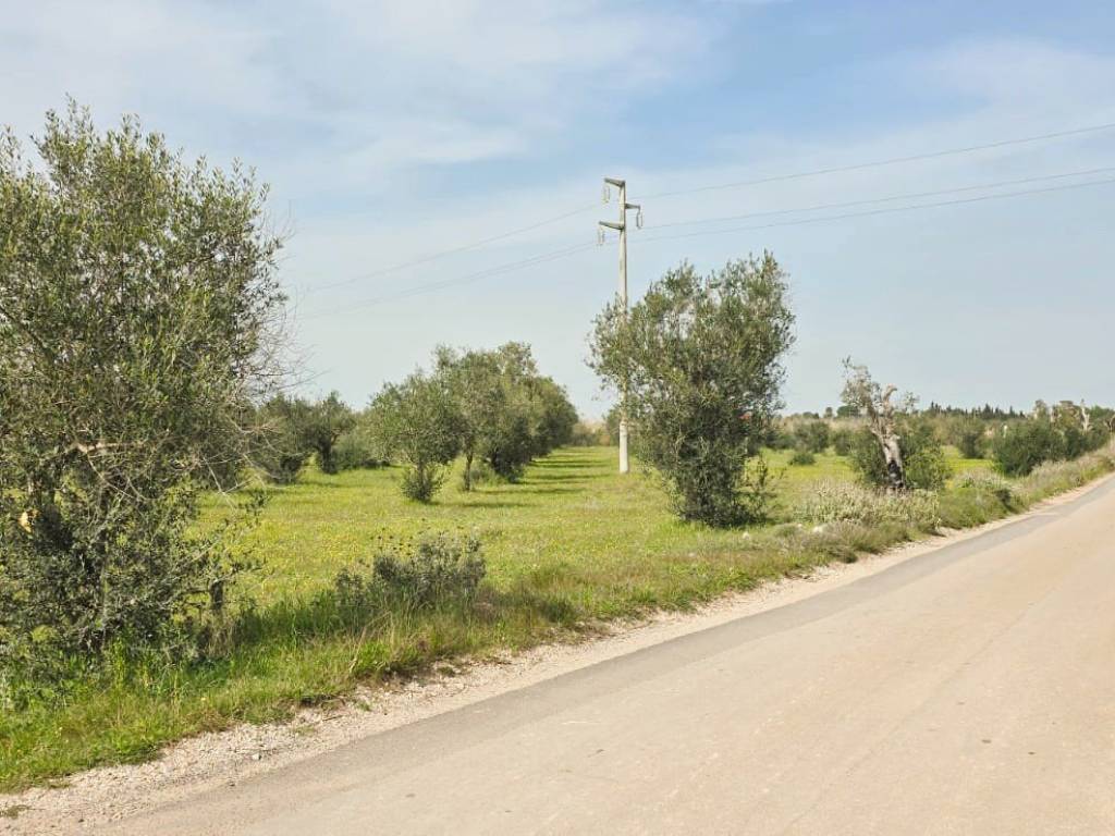 Terreno a Galatone in Contrada Doganieri - Foto 2