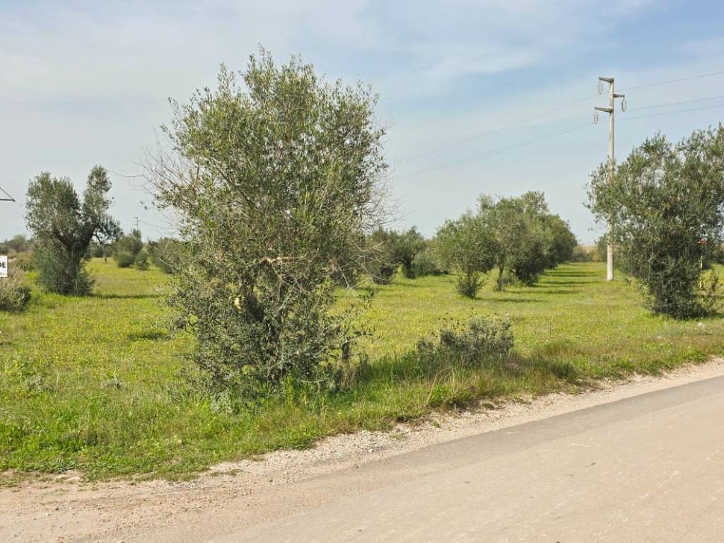 Terreno a Galatone in Contrada Doganieri - Foto 3