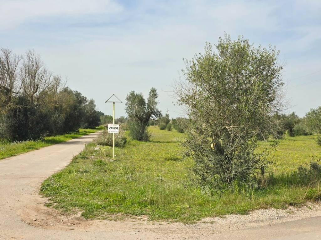 Terreno a Galatone in Contrada Doganieri - Foto 4