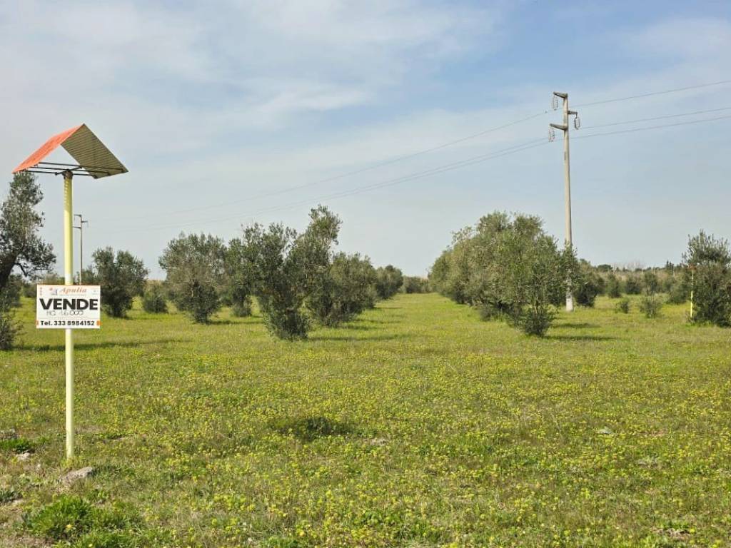 Terreno a Galatone in Contrada Doganieri - Foto 5