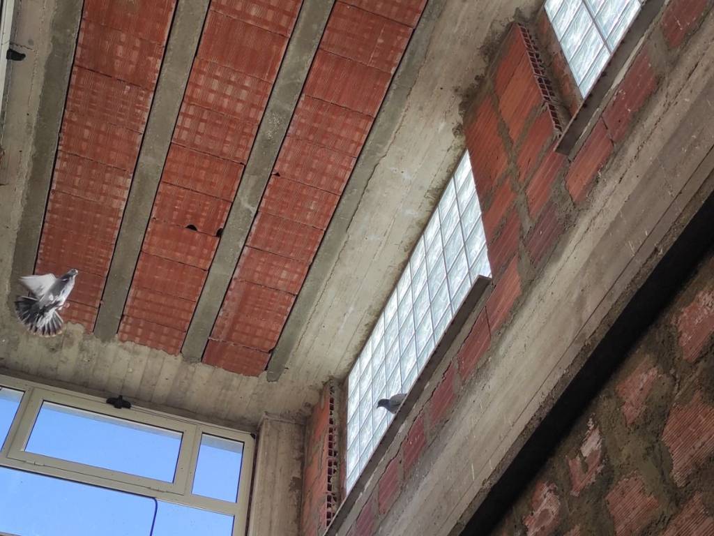 Palazzo / stabile a Delia in Via Milano - Foto 5