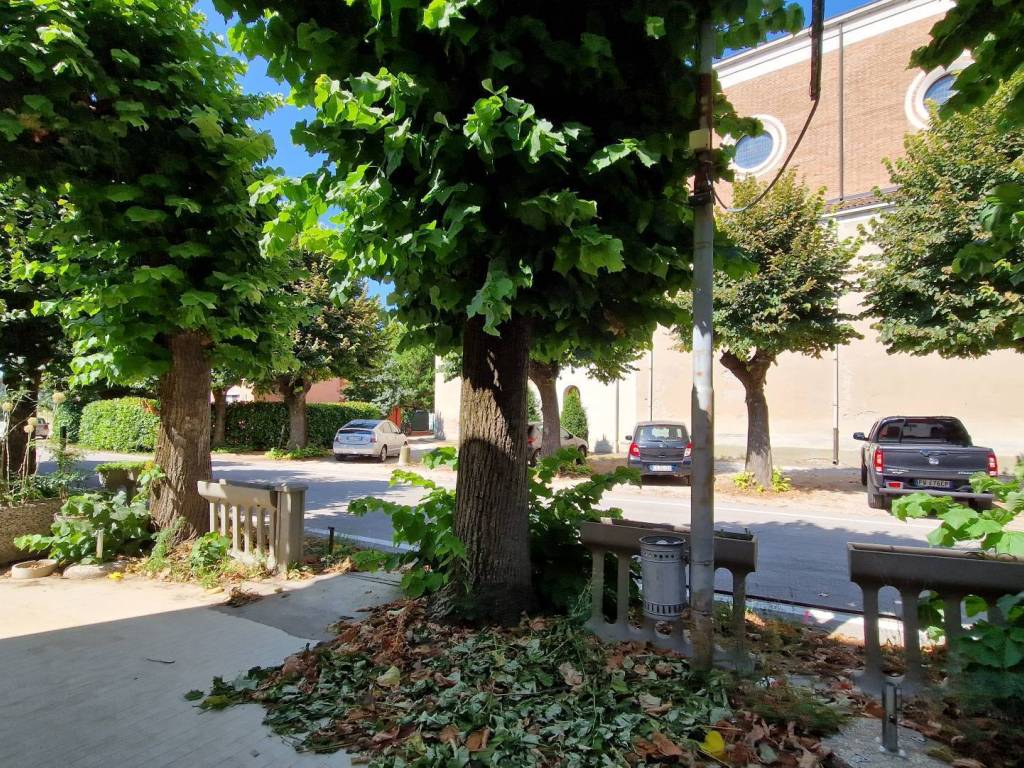 Immobile a Ferrara in Via Raffanello, 15 - Foto 5